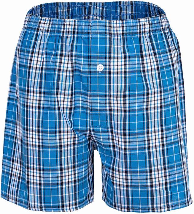 Image du produit Your Basics Boxers tissés Casual Coupe ample (188, paquet de 7)