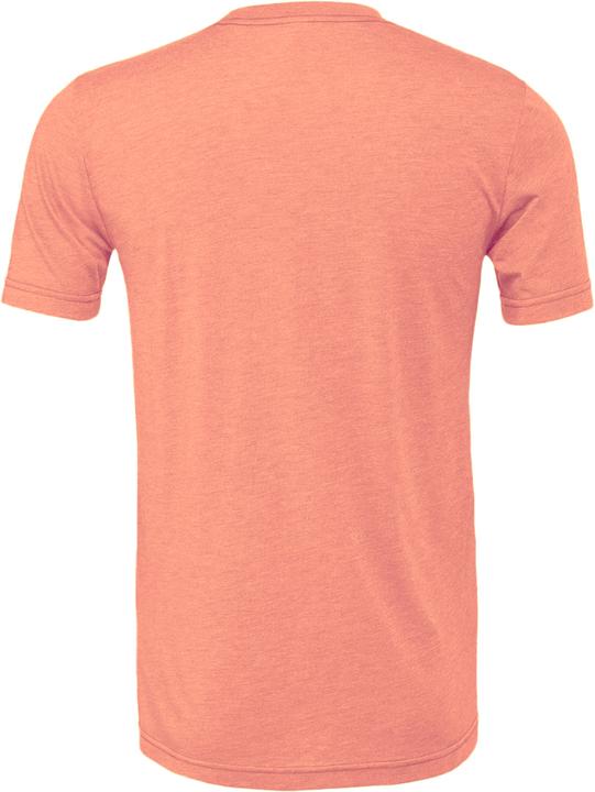 Actual product image Bella Canvas Cvc Tshirt Adult (XL)