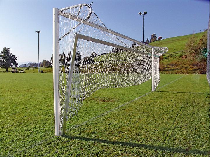 Immagine prodotto Sport-Thieme Telaio da terra pieghevole in alluminio modello Bundesliga, per porte da campo grandi 7,32x2,44 m