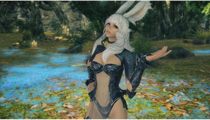 Image du produit Square Enix Final Fantasy XIV Shadowbringers (PS4, Multilingue)