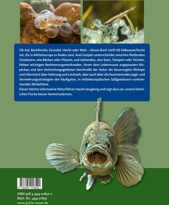 Immagine prodotto Die Süsswasserfische Mitteleuropas (Tedesco, Axel Gutjahr, 2021)