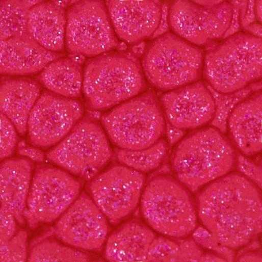Actual product image Pebeo Fantasy Prisme (English red, 45 ml)