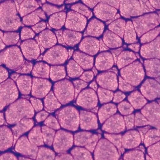 Image du produit Pebeo Fantasy Prisme (Violet pourpre permuté, 45 ml)