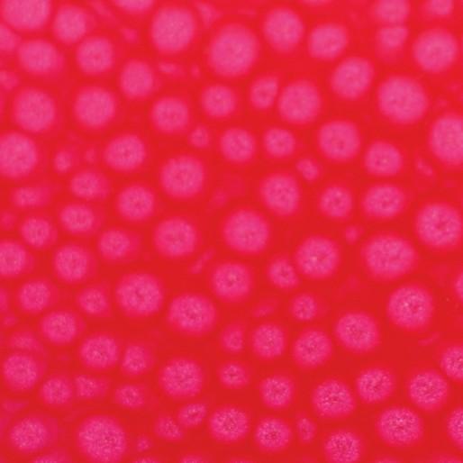 Actual product image Pebeo Fantasy Prisme (Neon pink, 45 ml)