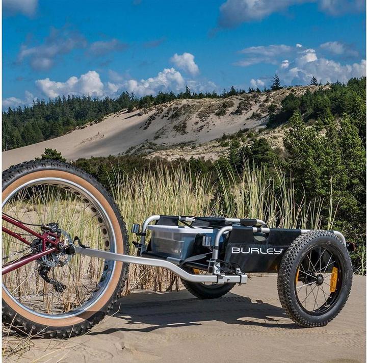 Actual product image Burley Flatbed