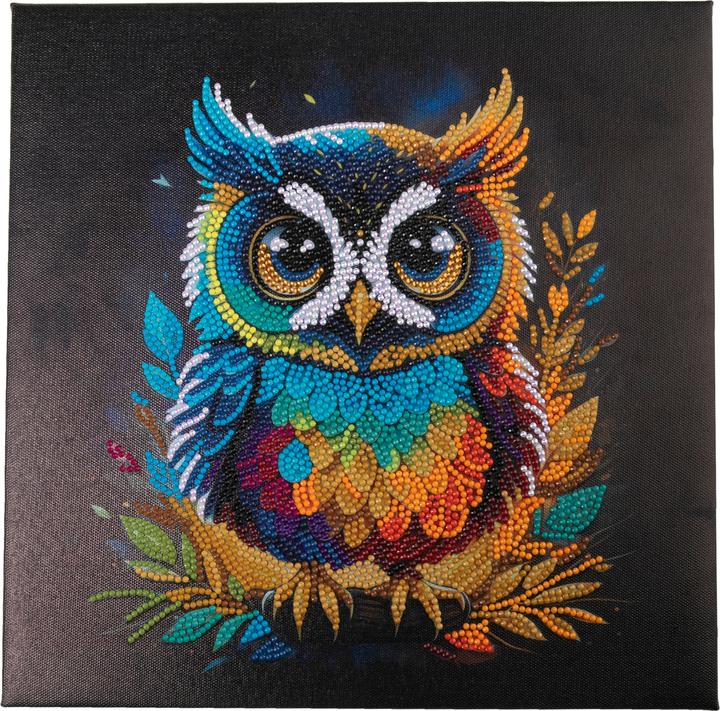 Image du produit Craft Buddy Hibou, 30x30cm Crystal Art Kit