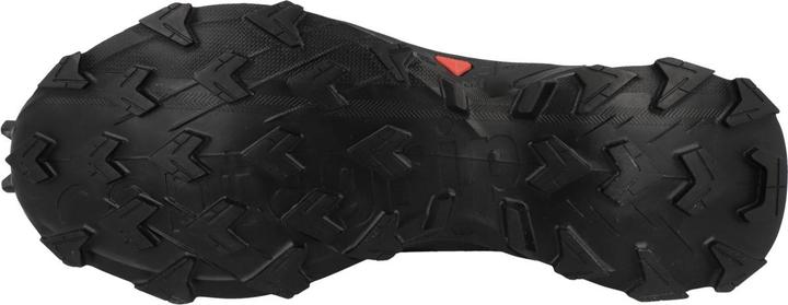 Actual product image Salomon Alphacross 4 GTX - 57155 (39 1/3)