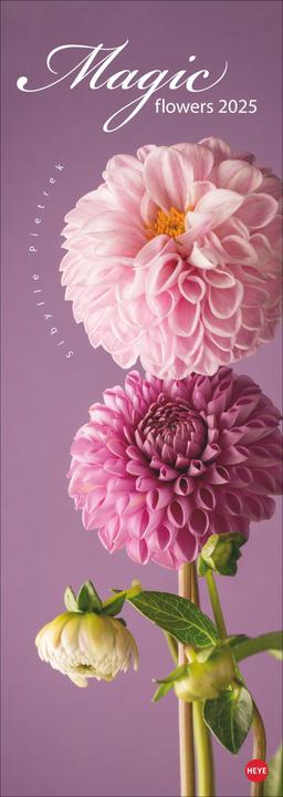 Actual product image Heye Magic Flowers Vertical Calendar 2025 (24.5 x 69 cm, Hardcover, German)