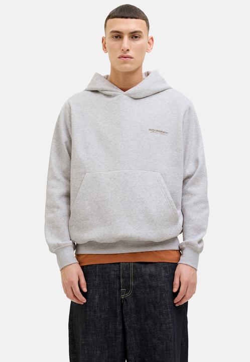 Actual product image Jack & Jones Jorislington Back Sweat Hood Sn (S)