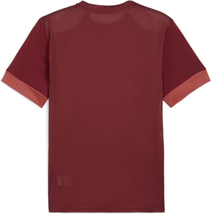 Image du produit Puma teamGOAL Matchday Jersey (S)