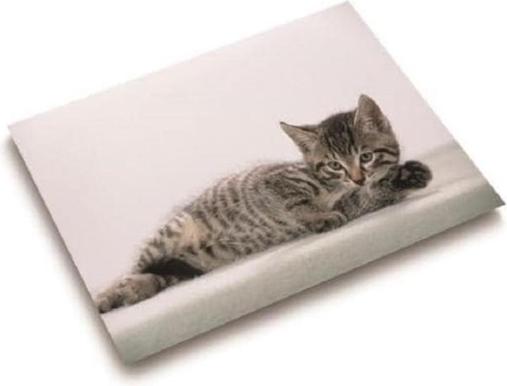 Image du produit Läufer Motif 40x53 chat gris (53 x 40 cm)