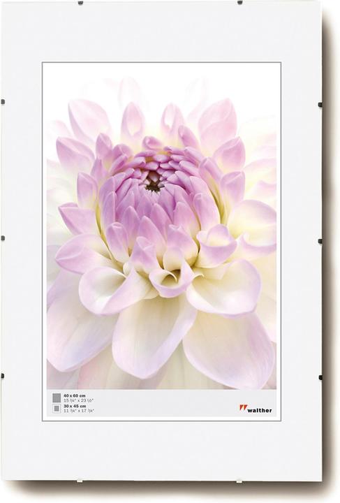 Actual product image Walther Design Frameless picture holders (30 x 45 cm)