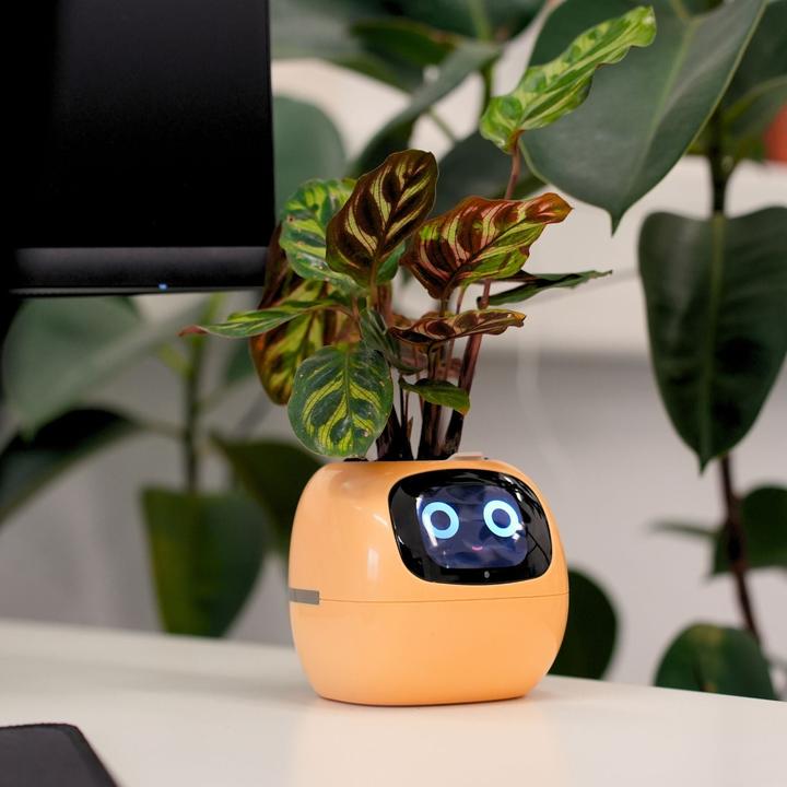 Image du produit Hermex Pot de fleurs électronique Pot de fleurs intelligent (11 cm)