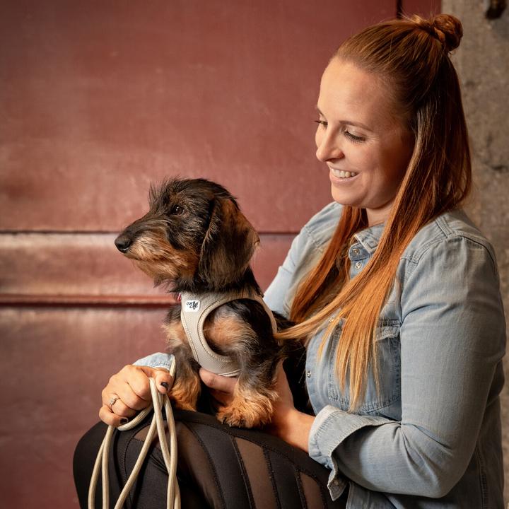 Produktbild Curli Geschirr Vest Air-Mesh XL, Light-Tan (XL, Hund, Allgemein)