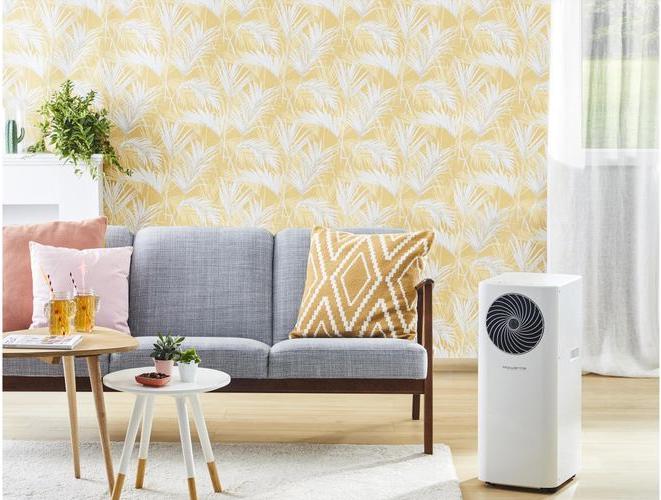 Produktbild Rowenta Turbo Cool AU5010 (26 m², 9000 BTU/h)