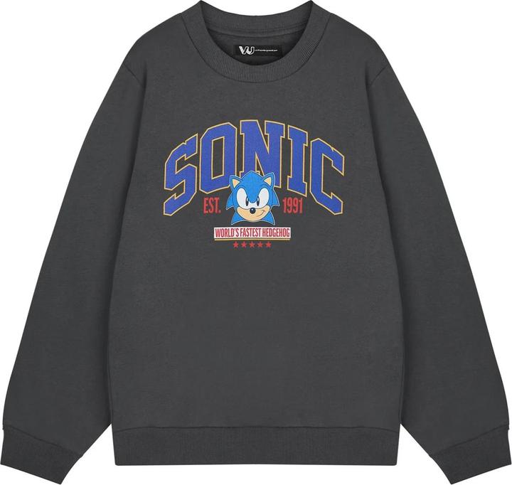 Produktbild Sonic The Hedgehog World's Fastest Sweatshirt (M)