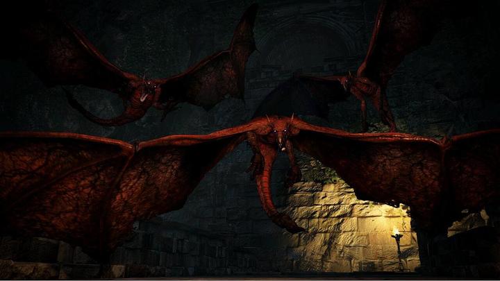 Actual product image Capcom Dragon's Dogma: Dark Arisen -US- (Switch, Switch Lite, Switch OLED, EN)
