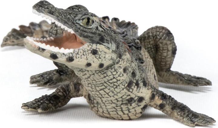 Image du produit Papo Jeune crocodile