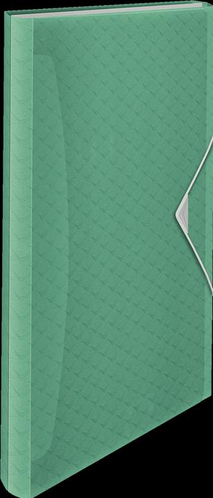 Image du produit Esselte Colour'Ice (A4, 1 x)