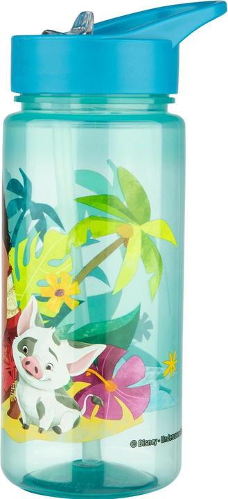 Actual product image Scooli Vaiana (0.50 l)