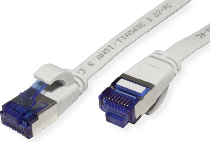 Image du produit Value Câble patch Cat.6A (Class EA) FTP (F/UTP, CAT6a, 1 m)
