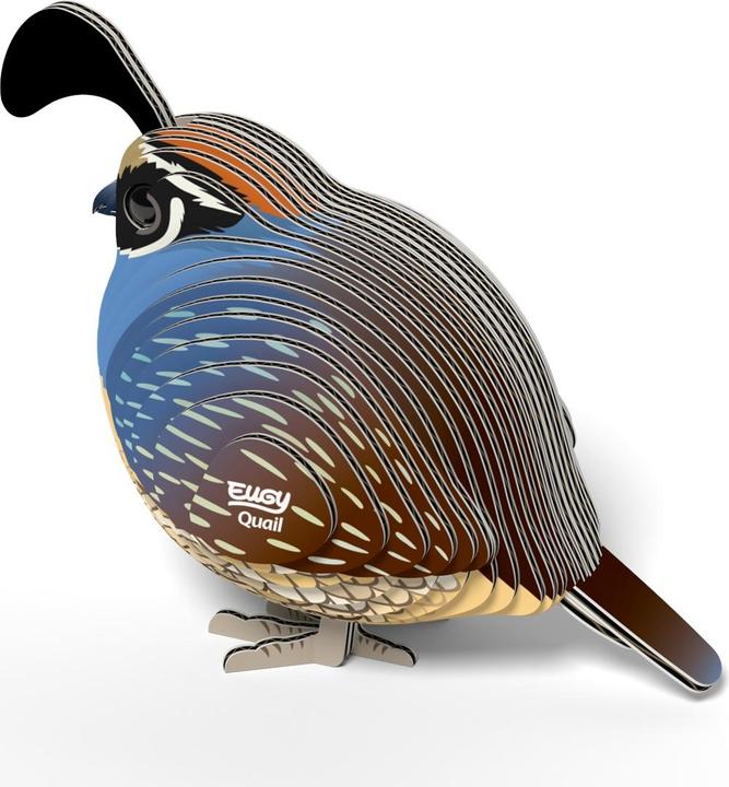 Actual product image Carletto 3D Bastelset Wachtel