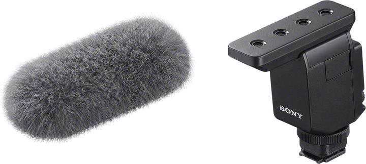 Actual product image Sony ECM-B10