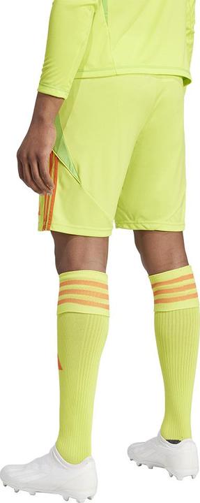 Actual product image adidas TIRO24 SHORT (L)
