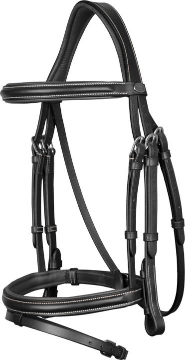 Dy'on Anatomical Bridle with Combined Caveson New English Collection