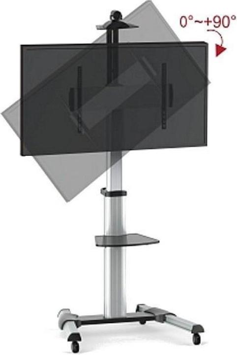 Produktbild Techly TV/LCD Wagen (Universal, 31", 50 kg)