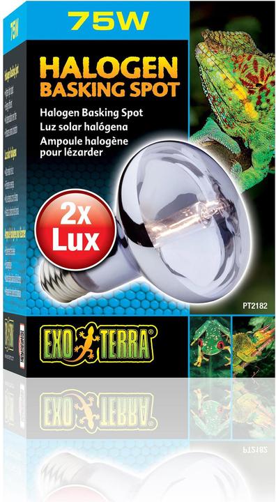 Exo Terra Sun Glo Tageslicht Halogenlampe 75W (UVA, UVB)