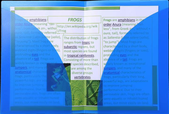 Actual product image Exacompta Presentation folders (A3, 1 x)