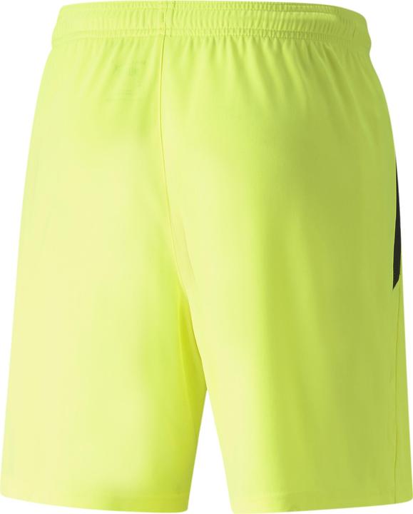 Actual product image Puma teamLIGA shorts (XL)