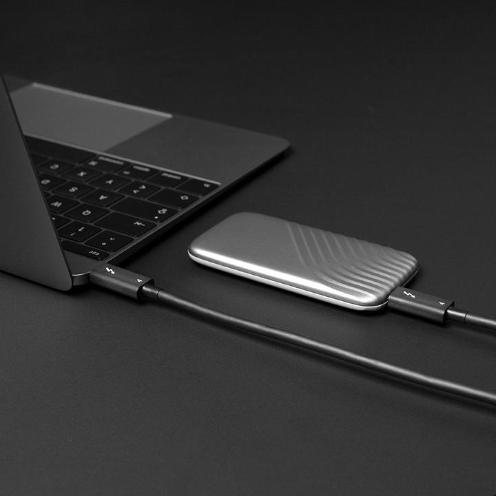 Image du produit Lindy Câble Thunderbolt 4 de 2m (2 m, USB 4.0)