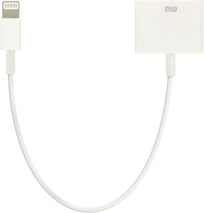 Immagine prodotto Avizar Adattatore Lightning / 30 pin (Lightning, 30 pin)