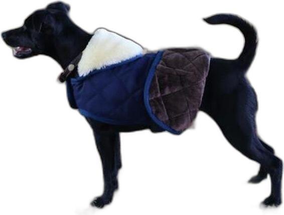 Produktbild Kentucky Dogwear Hundemantel 160g (S, M, Hundemantel)