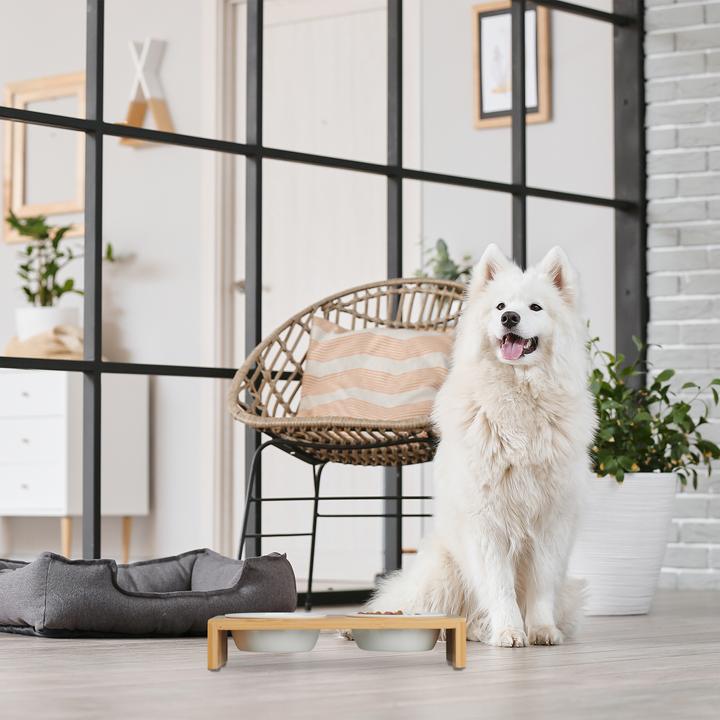 Actual product image Relaxdays Dog food station (0.27 l)