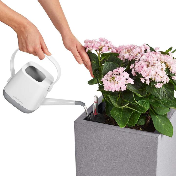 Immagine prodotto Lechuza Pietra di Canto (40 cm)