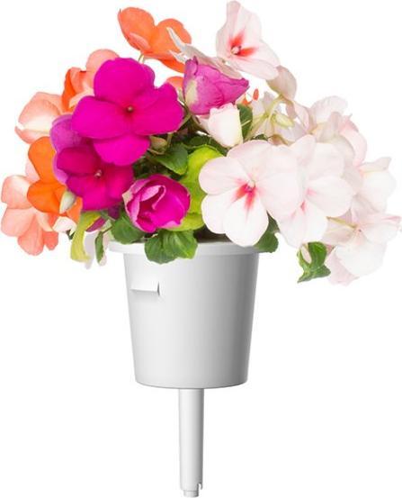 Immagine prodotto Click and Grow Occupato Lizzy (Semi di fiori)