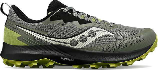BOUGH, Olive