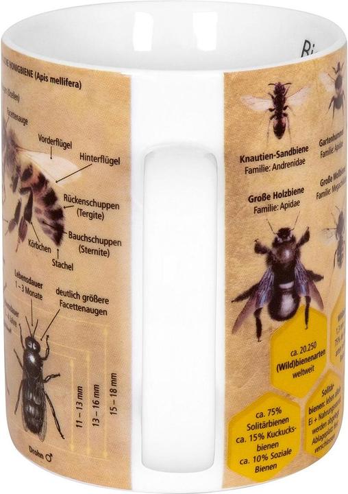 Actual product image Könitz Coffee Mug Knowledge Bee 490 ml, 1 piece, Multicolor (490 ml, 1 x)