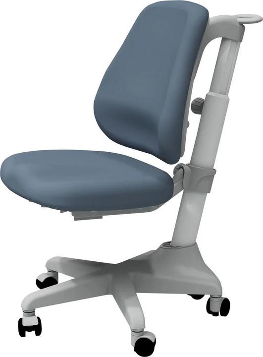 Actual product image Flexa Chair Verto Frosty