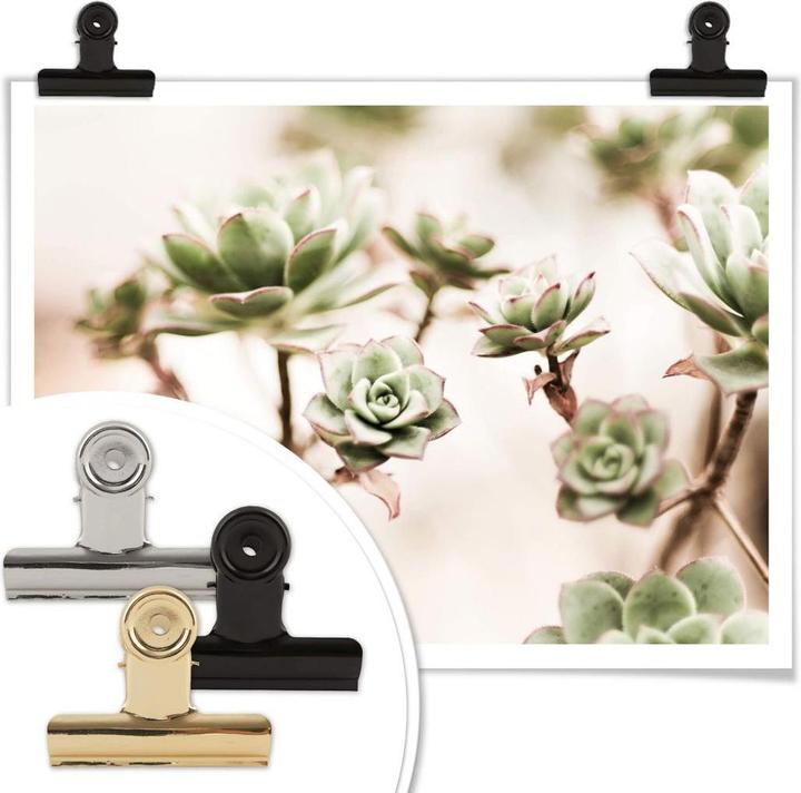 Actual product image Trenddeko Small succulents (80 x 60 cm)