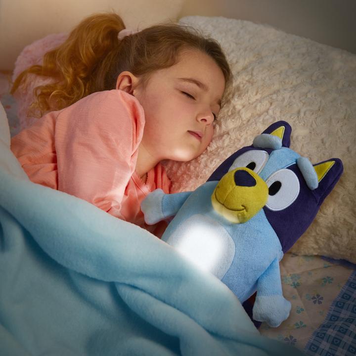 Actual product image Moose Bluey
