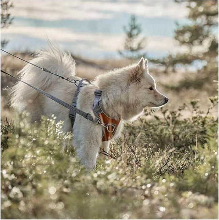 Produktbild Hurtta Geschirr Venture No-Pull, 40-45, Blau (40, 41, 42, 43, 44, 45, Hund, Hundesport)