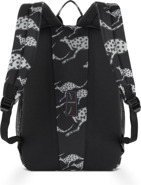 Produktbild Chiemsee Rucksack klein (15 l)