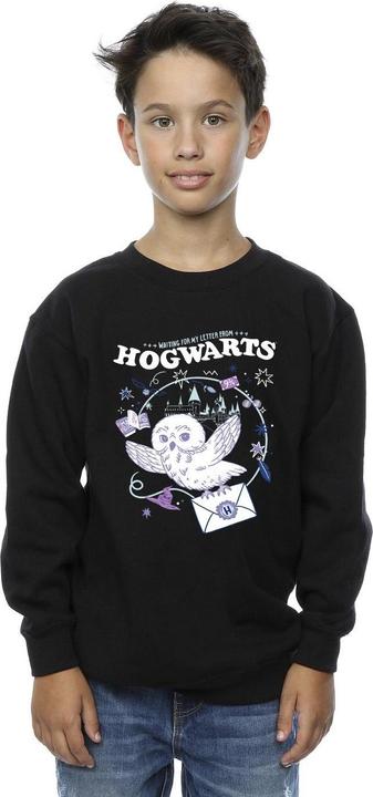 Image du produit - Sweat OWL LETTER FROM HOGWARTS - Garçon (116)