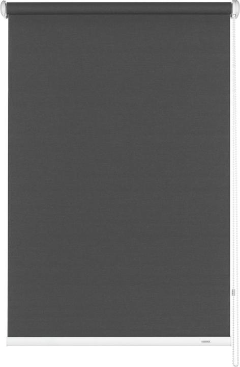 096 Grey