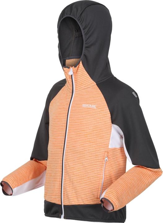 Image du produit Regatta - Veste softshell PRENTON - Enfant (116)