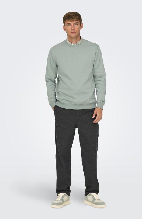 Produktbild Only & Sons Onsconnor Reg Crew Neck Sweat Noos (L)